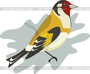 Bird - vector image