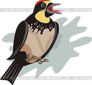 Bird - vector clip art