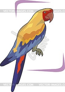 Parrot - vector clipart