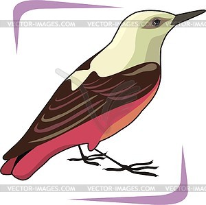 Bird - vector clipart