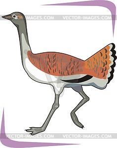 Bird - vector clipart