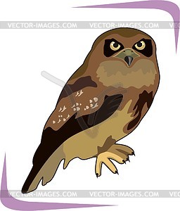 Eagle-owl - vector image