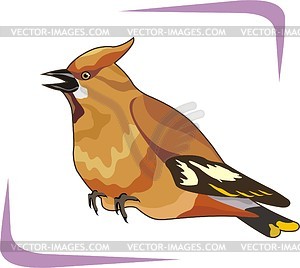 Bird - vector clipart