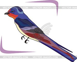 Bird - vector image