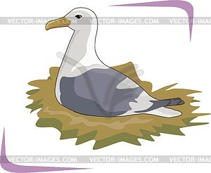 Gull - vector clipart