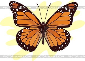 Schmetterling - vektorisierte Abbildung
