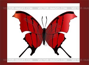 Butterfly - royalty-free vector clipart