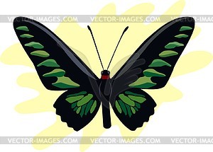 Бабочка - клипарт в векторном виде