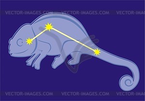 Constellation Chameleon - vector clipart