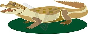 Crocodile - vector clipart