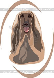 Collie - vector clipart