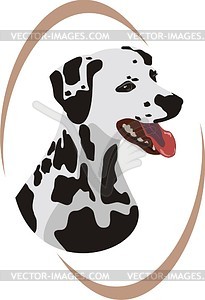 Dalmatian dog - vector clipart