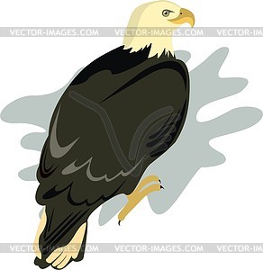 Eagle - vector clipart