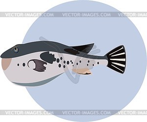 Fish - vector clip art