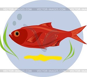 Fish - vector clipart