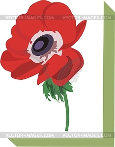 Poppy - vector clipart