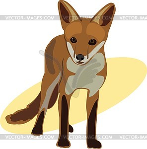 Fox - vector clipart