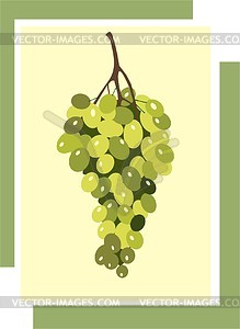 Grapes - vector image