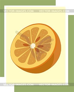 Orange - vector image