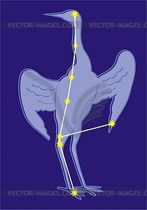 Constellation Grus - vector clipart