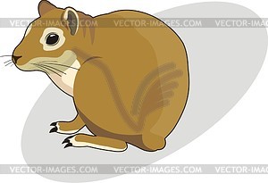 Guinea-pig - vector clipart / vector image