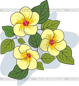 Hibiscus - vector clip art