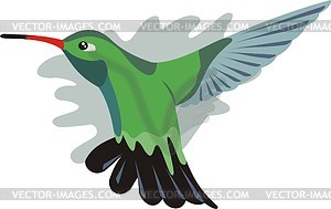 Flying humming-bird - vector clipart
