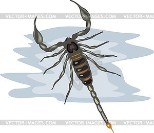 Scorpion - vector clipart / vector image