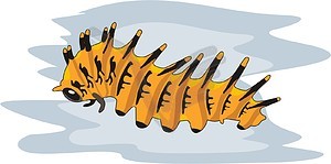 Caterpillar - vector image