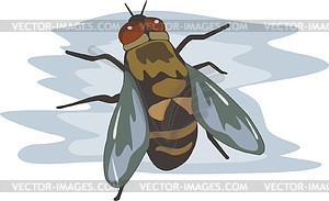 Fly - vector clipart