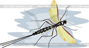 Insect - vector clip art