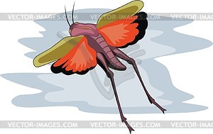 Locust - vector clipart