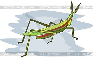 Grasshopper - vector clip art