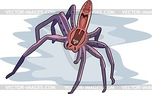 Spider - color vector clipart