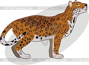 Jaguar - vector clipart