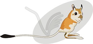 Jerboa - vector image