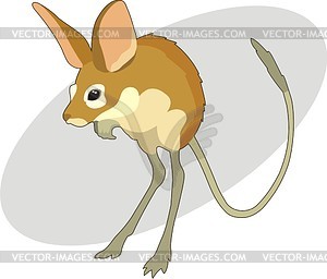 Jerboa - vector clipart