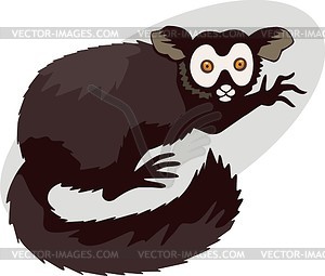 Lemur - stock vector clipart
