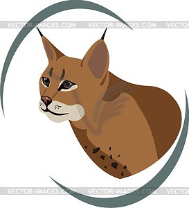 Lynx - royalty-free vector image