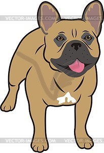 Pug - vector clip art