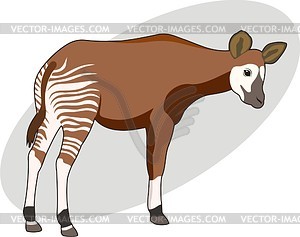 Okapi - vector clipart