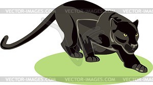 Panther - Vektorgrafik