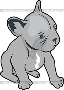 Puppy - vector clip art