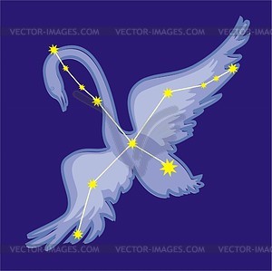 Constellation Cygnus - vector clipart