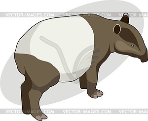 Tapir - vector clip art