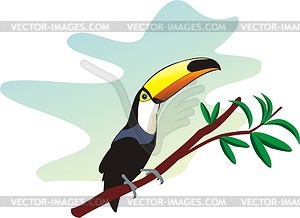 Toucan on branch  - vector clipart