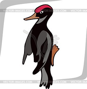 Woodpecker - vector clipart