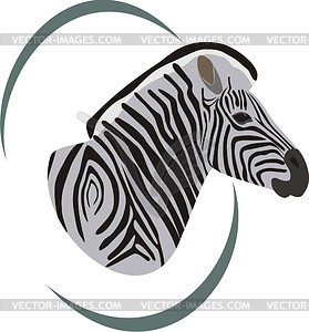 Zebra - vector image