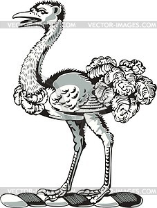 Crest with an ostrich - vector clipart