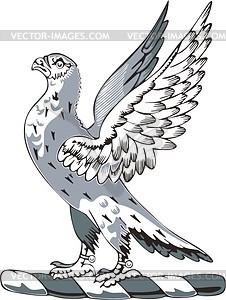 Crest with a falcon - vector clipart